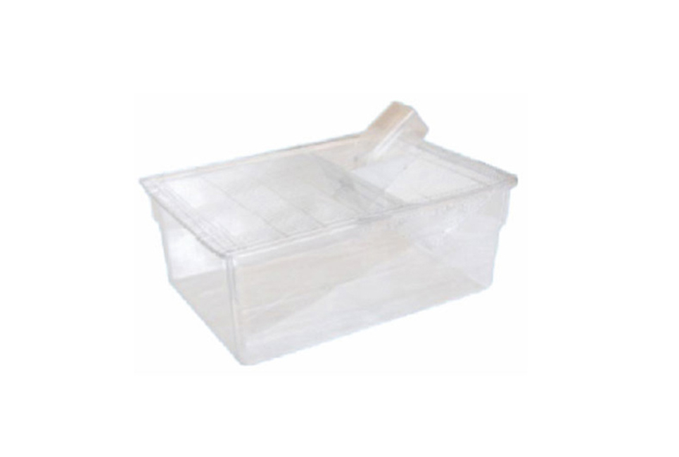 CPM-6 transparent rat cage