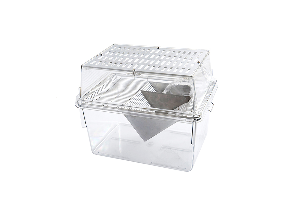 CP-2 mouse group rearing rat breeding (with lid)