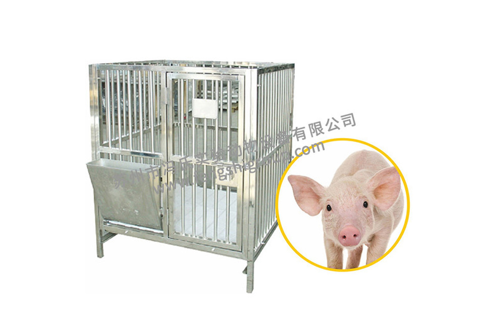 Stainless steel pig cage